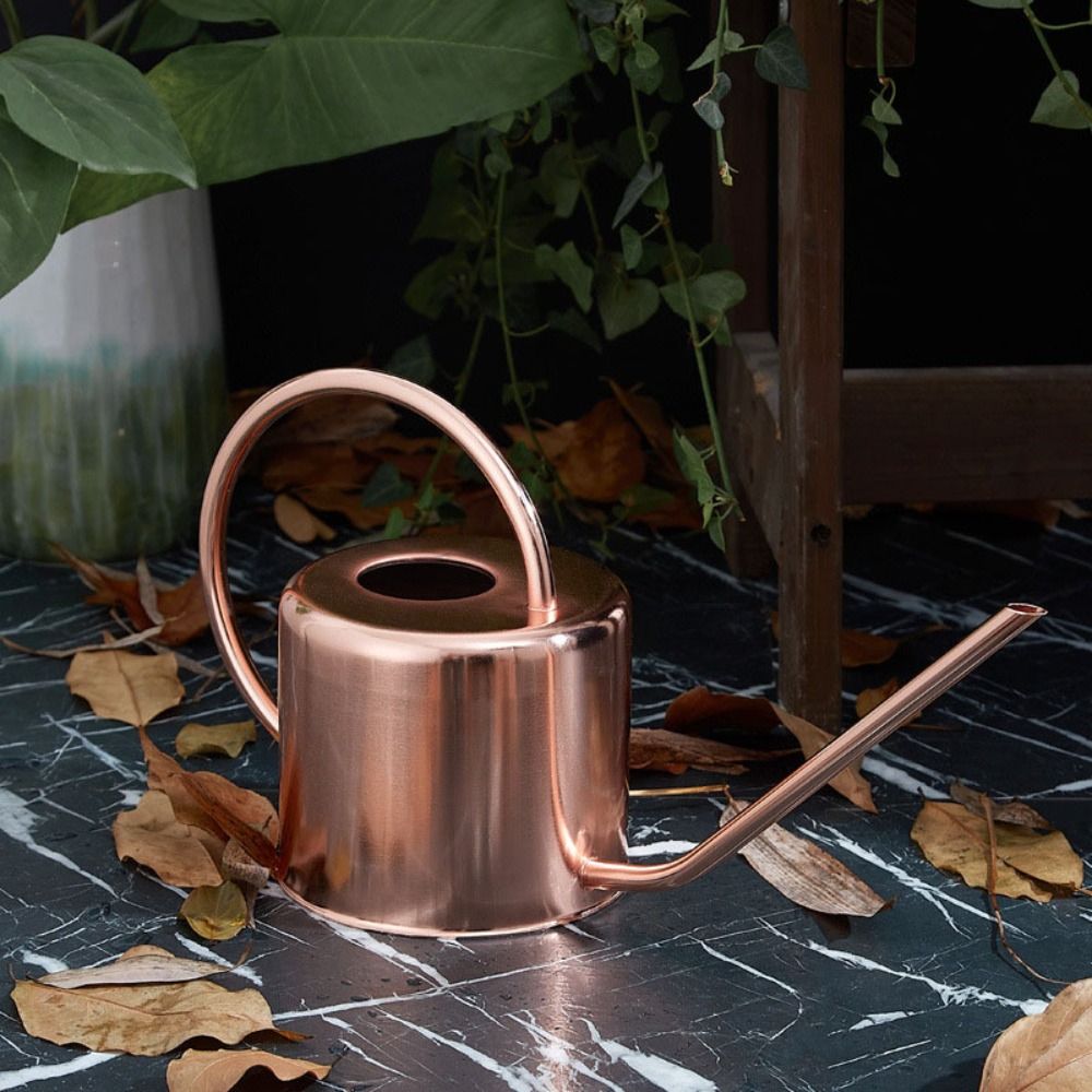 u 1.3L Plant Sprinkler Kettle  - огляд і ціна Watering Can Long Spout