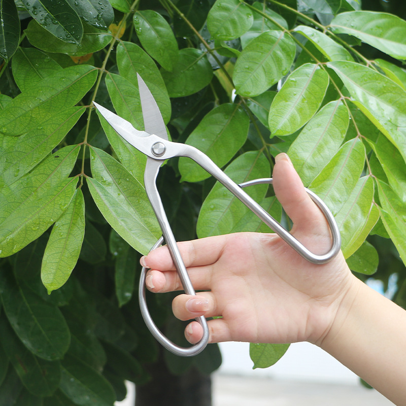 All-steel garden shears, folia - огляд і ціна Gardening Tools Japanese