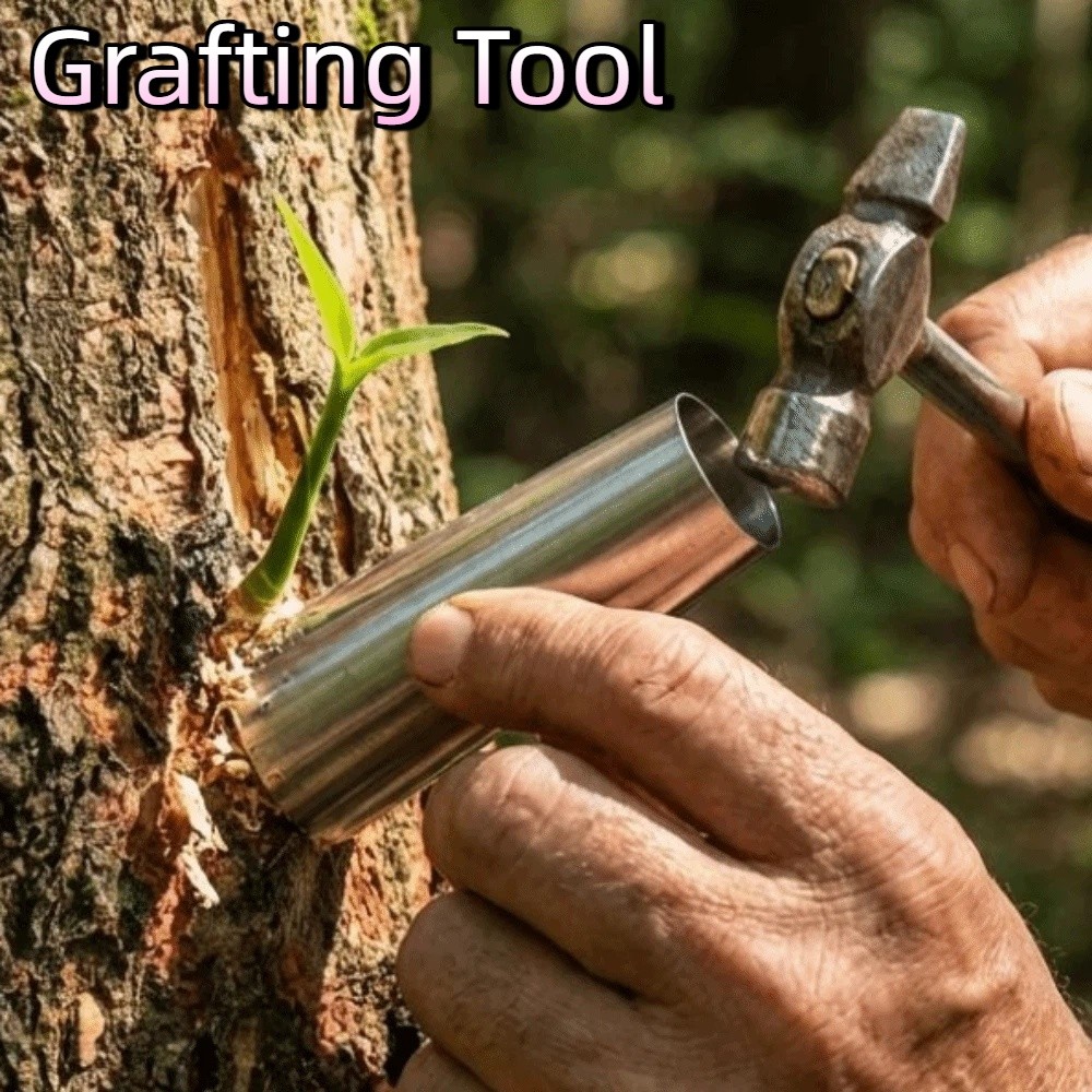 5Pcs Stainless Steel Bud-Graft - огляд і ціна Gardening Tools Japanese