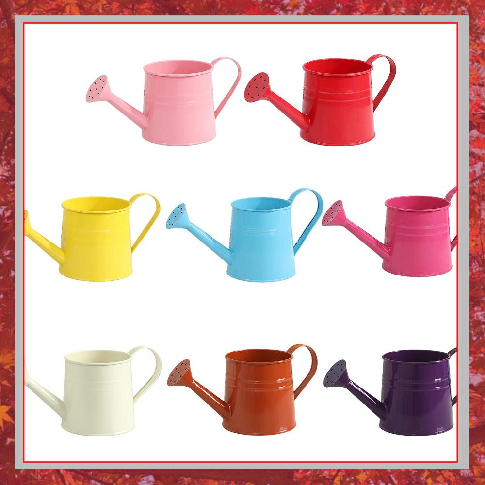 Flower Long Spout Water Can fo - огляд і ціна Watering Can Long Spout