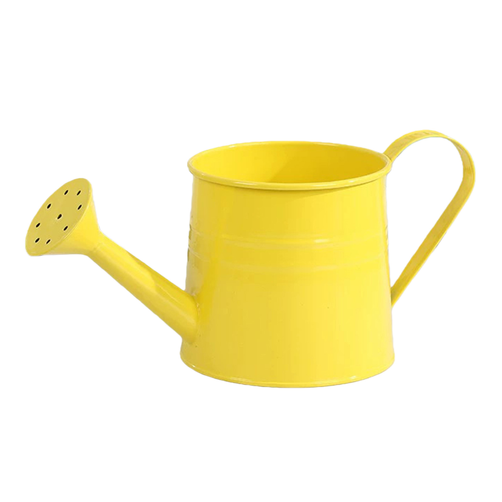 Flower Long Spout Water Can fo - огляд і ціна Watering Can Long Spout