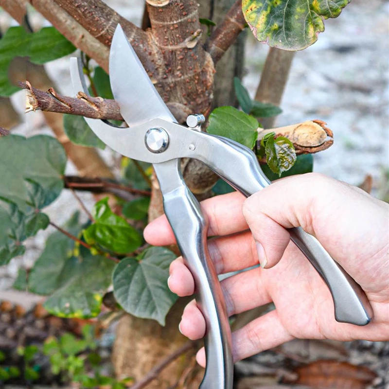 All Stainless Steel Profession - огляд і ціна Gardening Tools Japanese