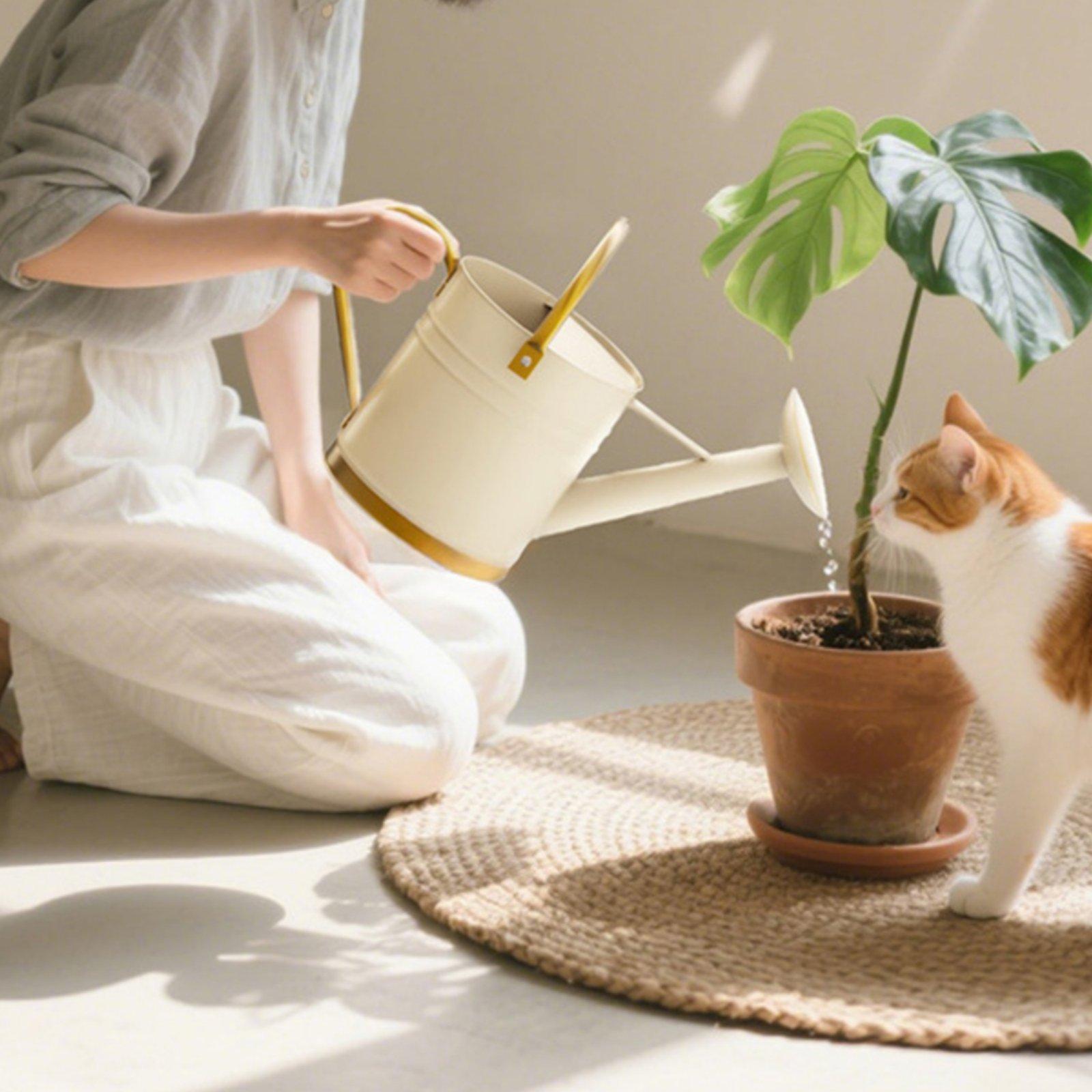 Long Spout Watering Can Leak-P - огляд і ціна Watering Can Long Spout