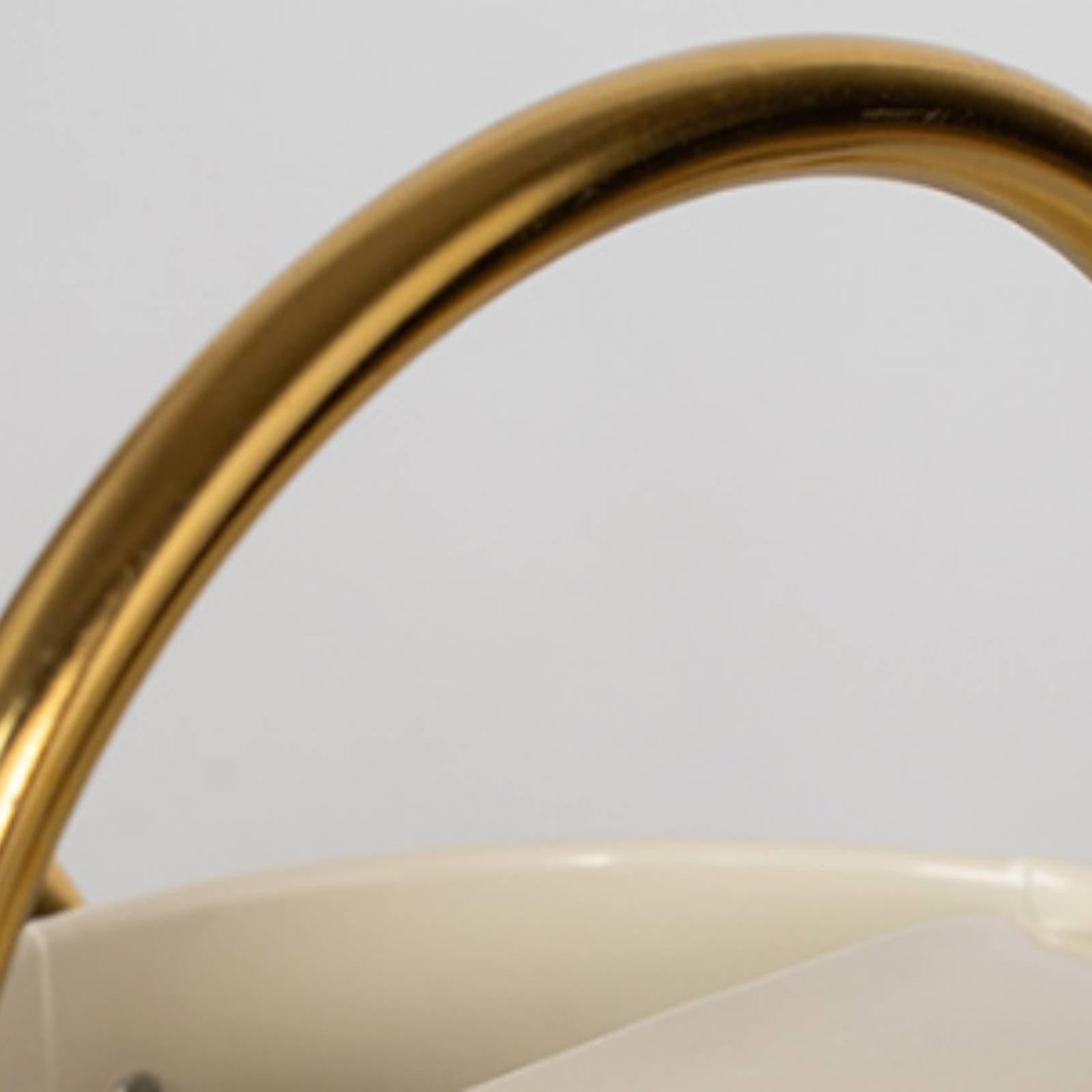 Long Spout Watering Can Leak-P - огляд і ціна Watering Can Long Spout